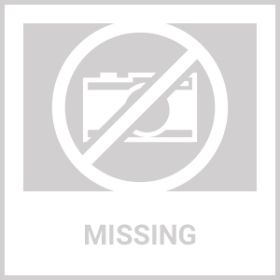 30-inch Black Wire Dog Cage Double Lock Mechanism Double Door Single Handle Single Bolt (Color: Black)